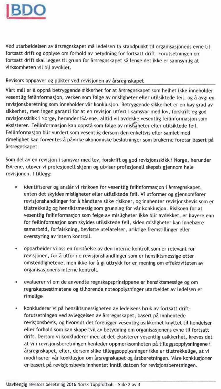 Revisors beretning side 2