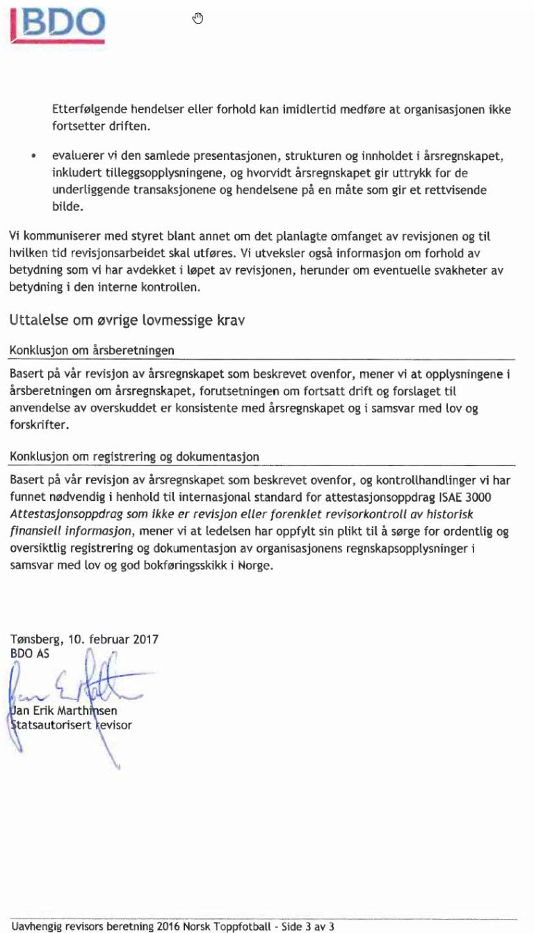 Revisors beretning side 3