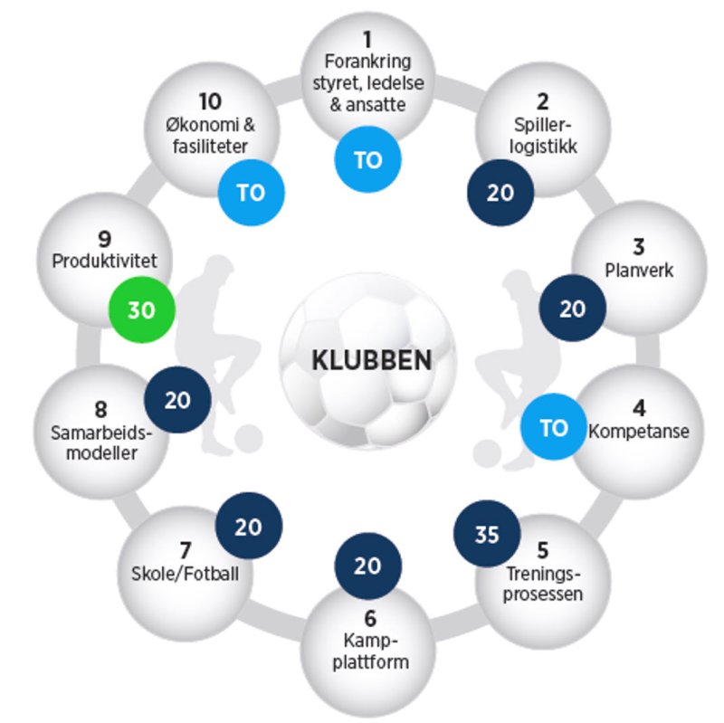 Modellen er bygd opp rundt 10 dyktighetsområder og 143 underliggende kriterier. Områdene er vektet i forhold til hverandre. Spesielt viktige områder er identifisert og gitt høyere verdi (1, 4, 5, 9, 10).